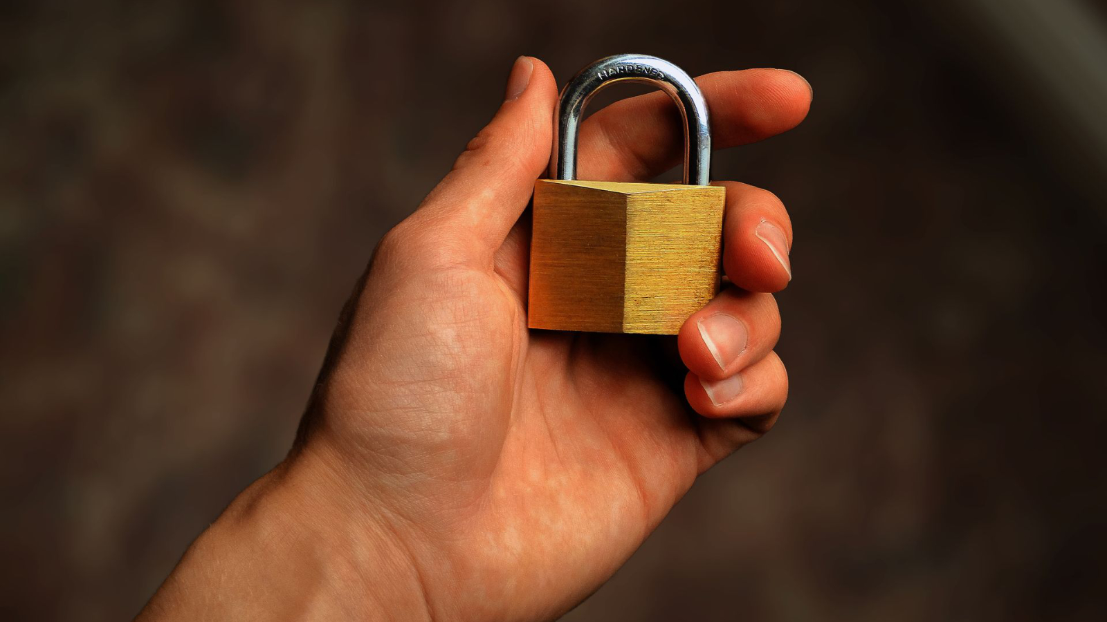 Malware Scanning API: How to Scan Files for Viruses via API