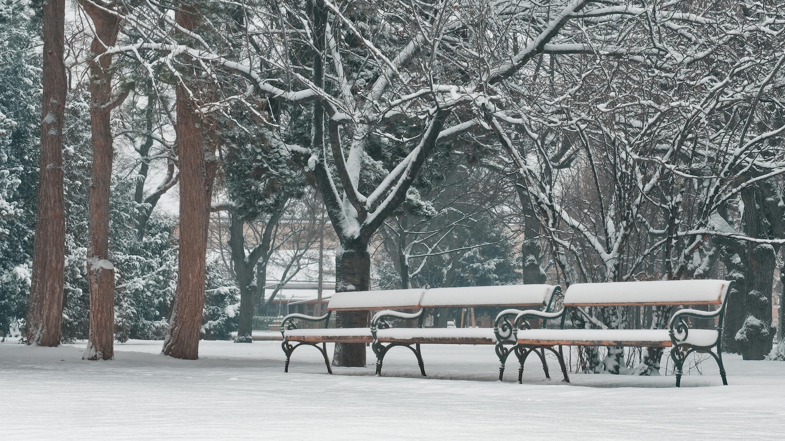 Month in Review - January 2026