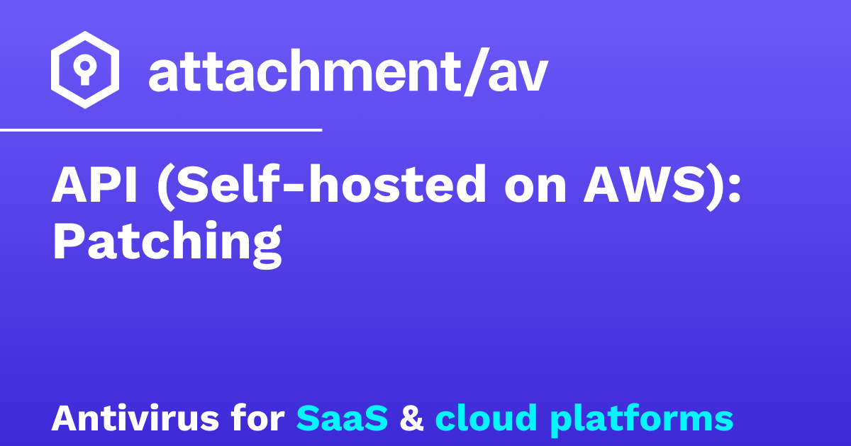 API (Self-hosted on AWS): Patching – attachmentAV
